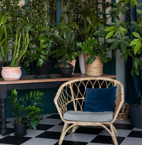 ourmission image.png